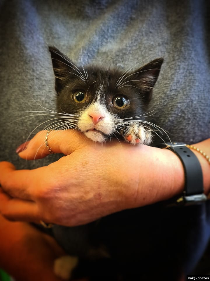 Made with LogoLicious Add Your Logo App