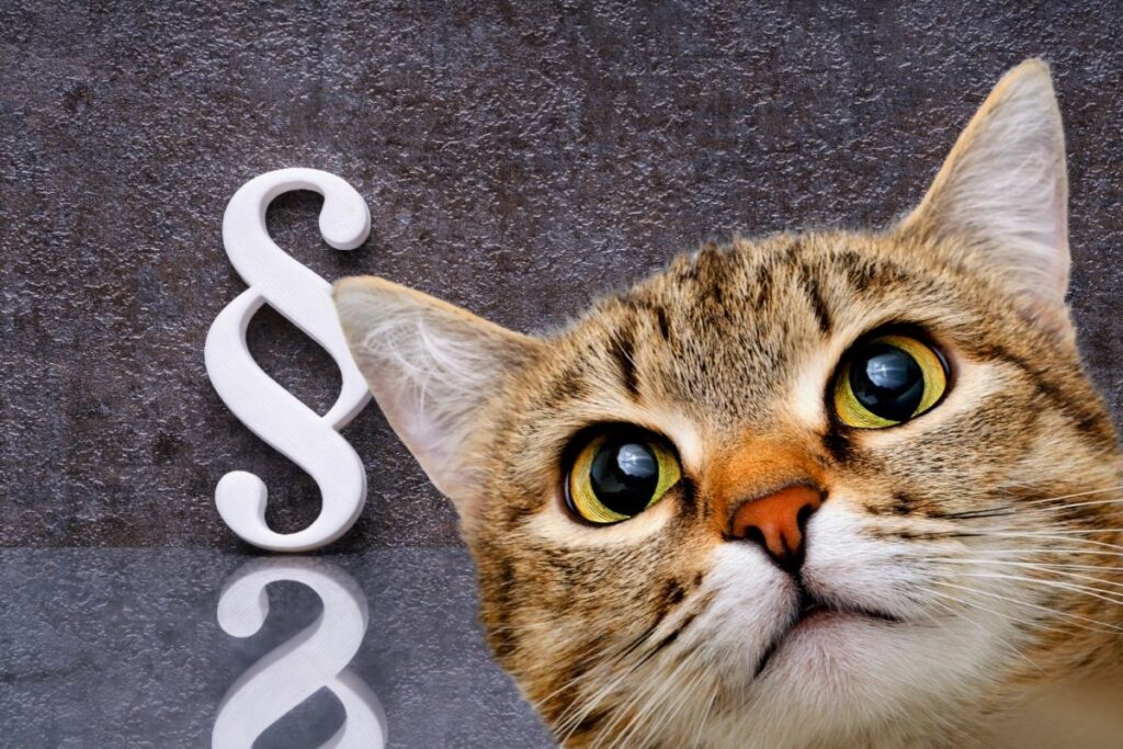 Jaki jest status prawny kota w Polsce?