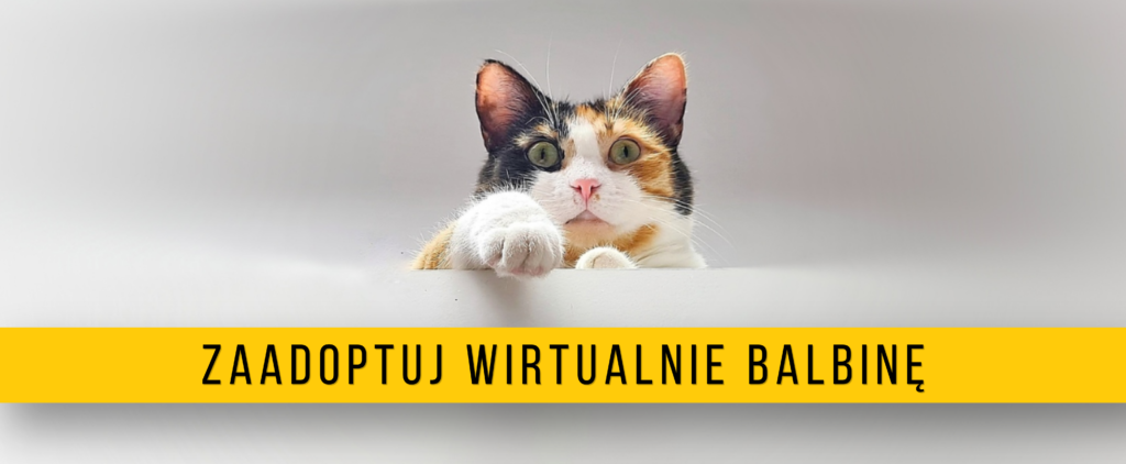 Balbina