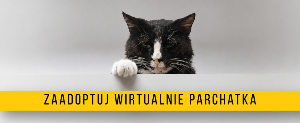 Parchatek