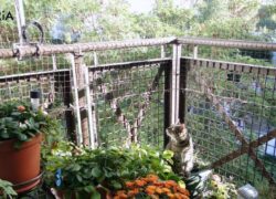 Nietypowy balkon nie oznacza, że trzeba zrezygnować z bezpieczeństwa kota