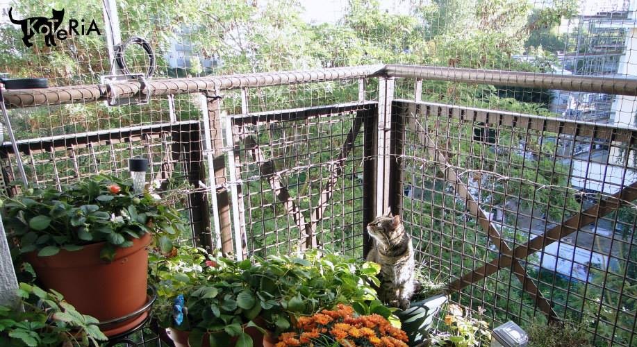 Nietypowy balkon nie oznacza, że trzeba zrezygnować z bezpieczeństwa kota