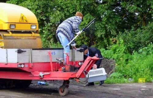 Łapanie kota w podbierak
